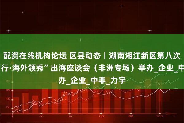 配资在线机构论坛 区县动态丨湖南湘江新区第八次“结伴同行·海外领秀”出海座谈会（非洲专场）举办_企业_中非_力宇