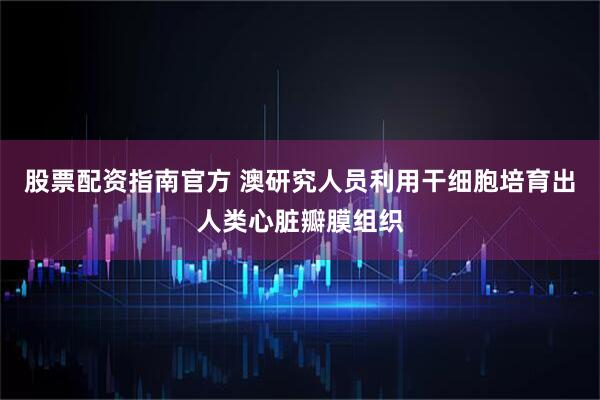 股票配资指南官方 澳研究人员利用干细胞培育出人类心脏瓣膜组织